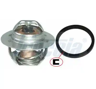 FRECCIA TER33-00025