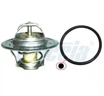 FRECCIA TER33-00036 FRECCIA TER33-00036