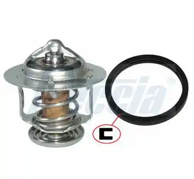 FRECCIA TER33-00038 FRECCIA TER33-00038