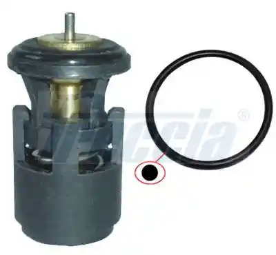 FRECCIA TER33-00041