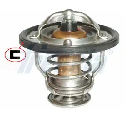 FRECCIA TER33-00049 FRECCIA TER33-00049