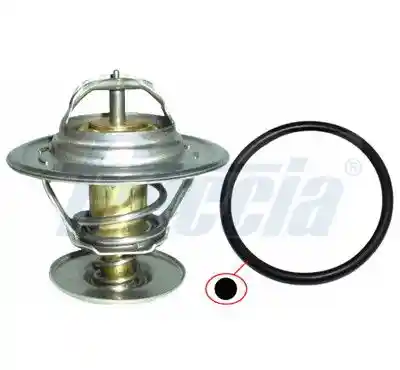 FRECCIA TER33-00060 FRECCIA TER33-00060