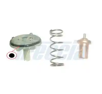 FRECCIA TER33-00103 FRECCIA TER33-00103
