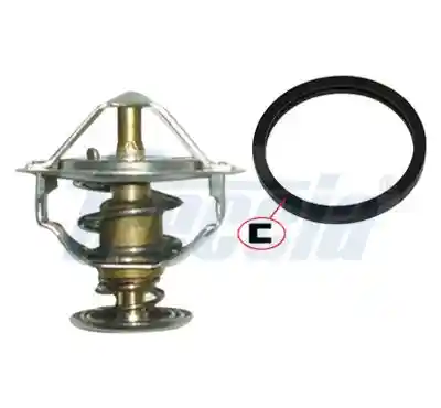 FRECCIA TER33-00167 FRECCIA TER33-00167