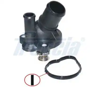 FRECCIA TER33-00175 FRECCIA TER33-00175