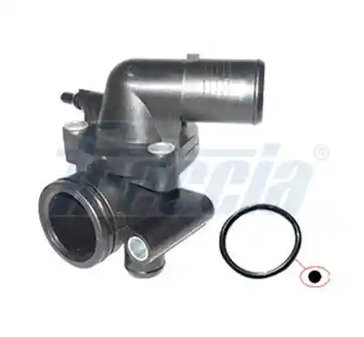 FRECCIA TER33-00238 FRECCIA TER33-00238