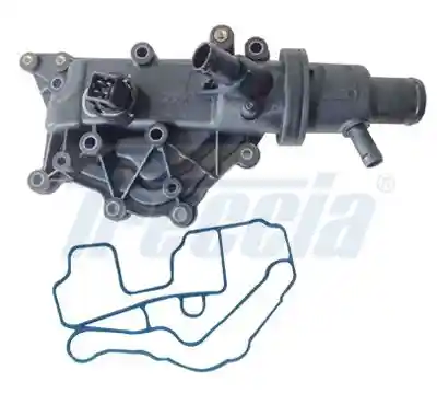 FRECCIA TER33-00276 FRECCIA TER33-00276