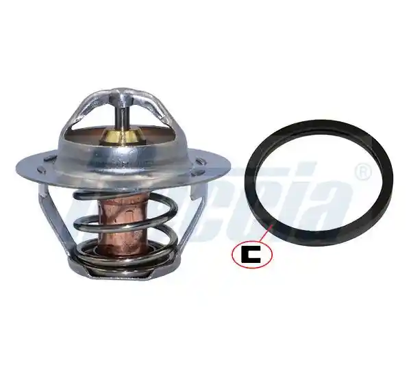 FRECCIA TER33-00281