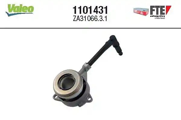 FTE 1101431 FTE 1101431