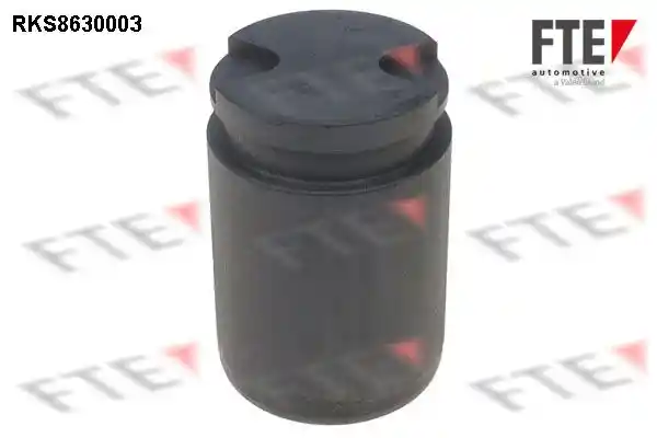 FTE 9313025 FTE 9313025