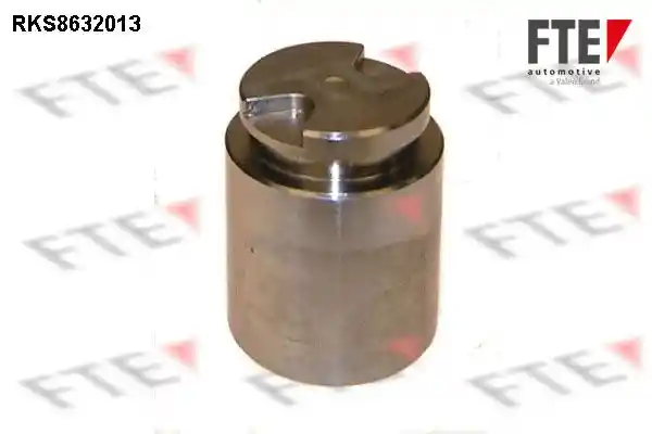 FTE 9313031 FTE 9313031