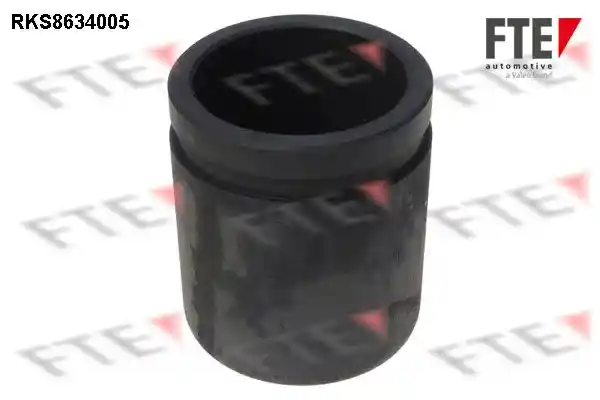 FTE 9313051