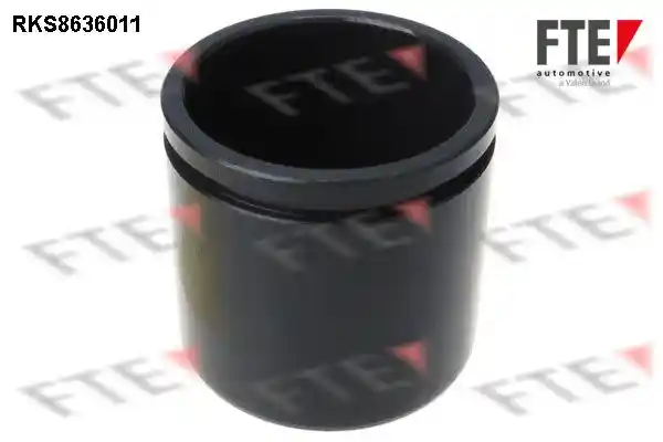 FTE 9313055
