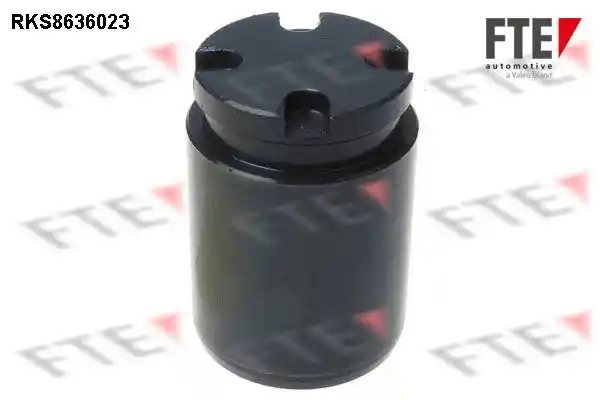FTE 9313058
