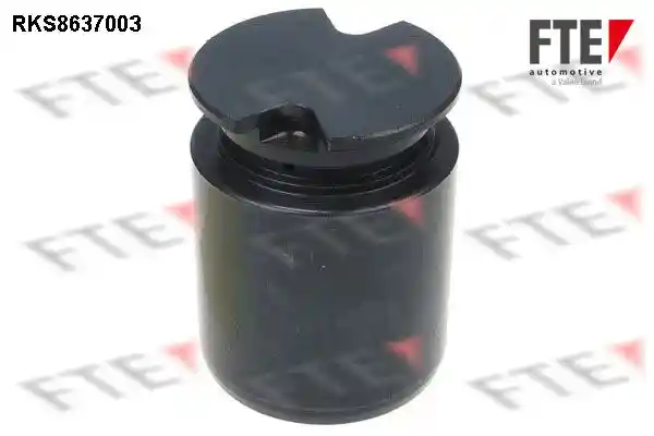 FTE 9313063 FTE 9313063