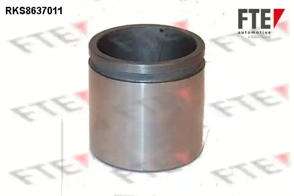 FTE 9313064 FTE 9313064