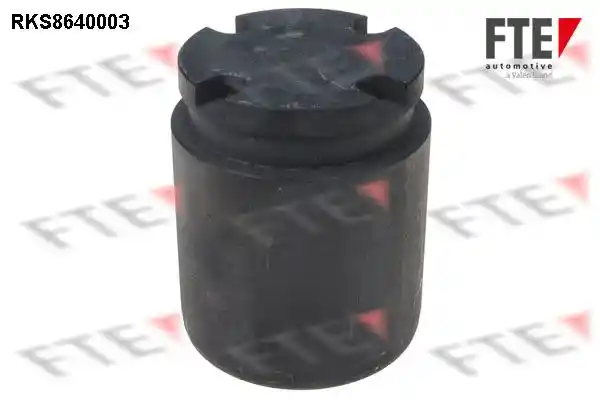 FTE 9313065
