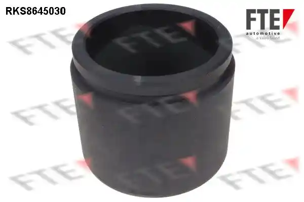 FTE 9313071 FTE 9313071
