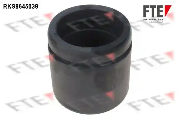 FTE 9313073 FTE 9313073