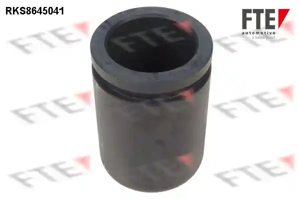 FTE 9313074