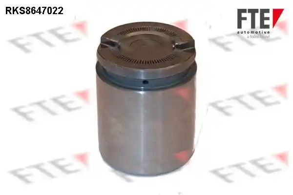 FTE 9313081 FTE 9313081