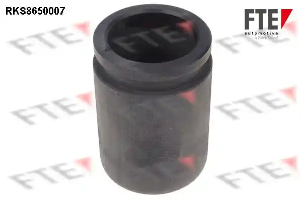 FTE 9313088