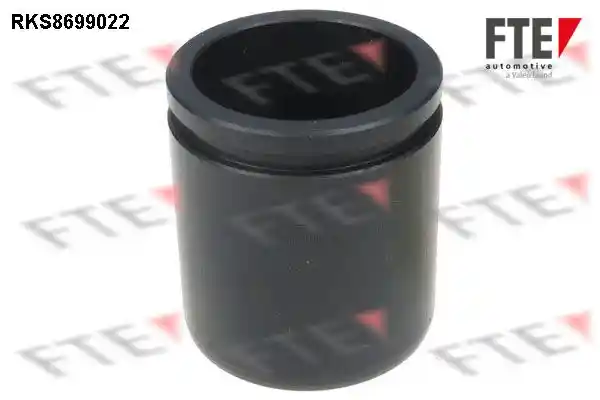 FTE 9313095