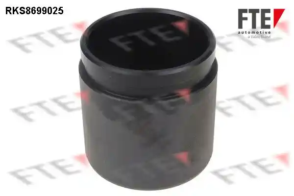 FTE 9313096 FTE 9313096