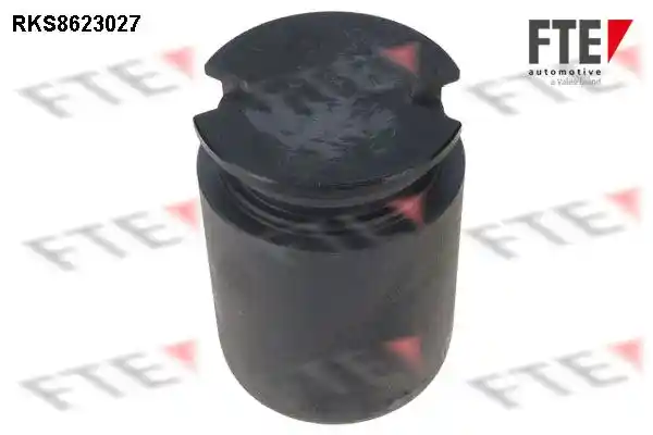 FTE 9313209 FTE 9313209