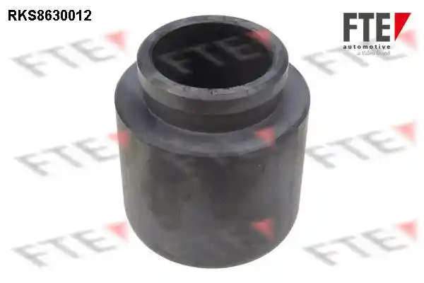 FTE 9313248