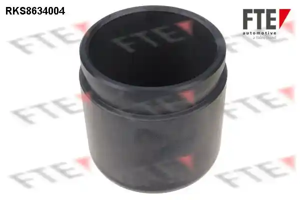 FTE 9313302