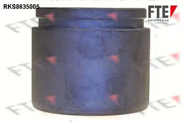 FTE 9313313