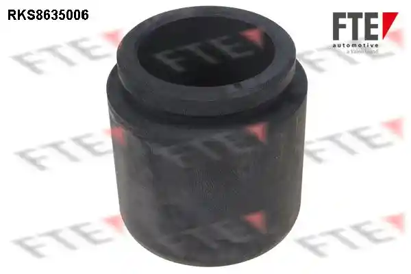 FTE 9313314