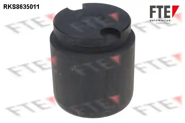 FTE 9313319