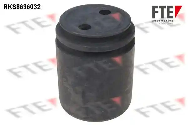 FTE 9313341