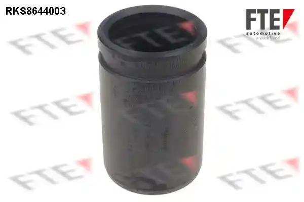 FTE 9313379