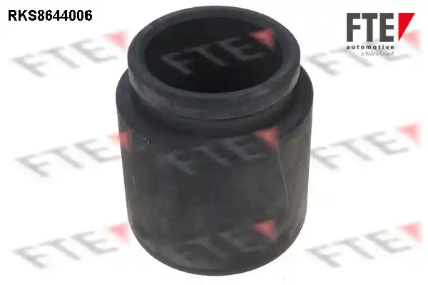 FTE 9313381