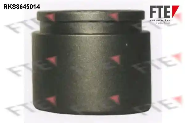 FTE 9313390