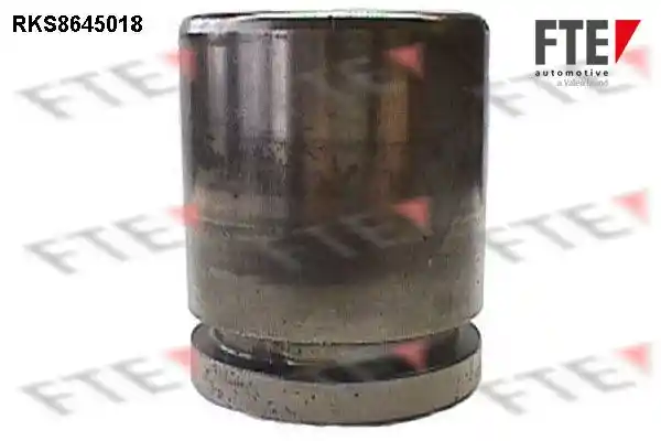 FTE 9313393
