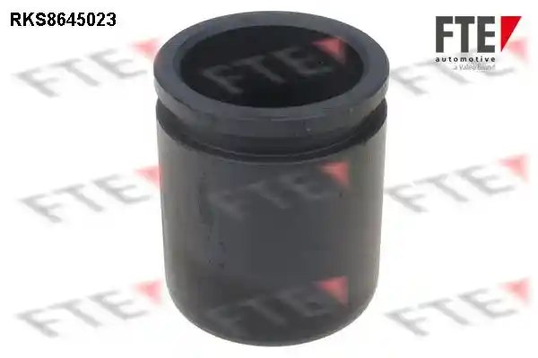 FTE 9313398