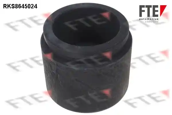 FTE 9313399