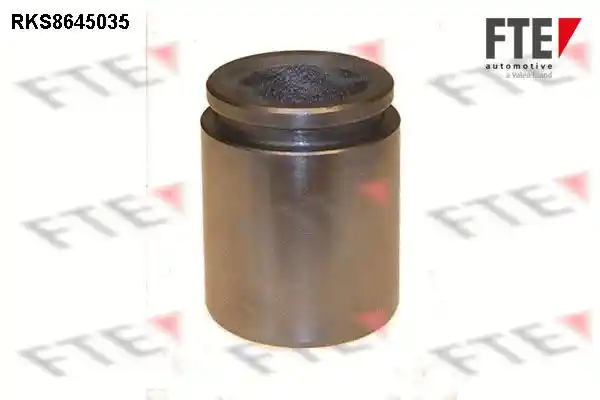 FTE 9313409