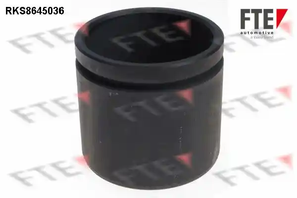 FTE 9313410