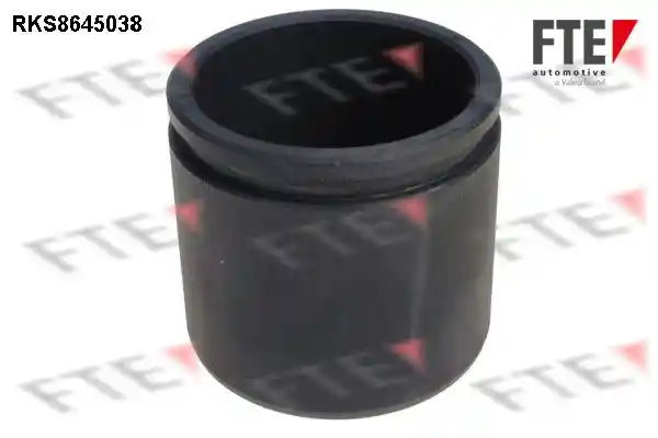 FTE 9313411 FTE 9313411