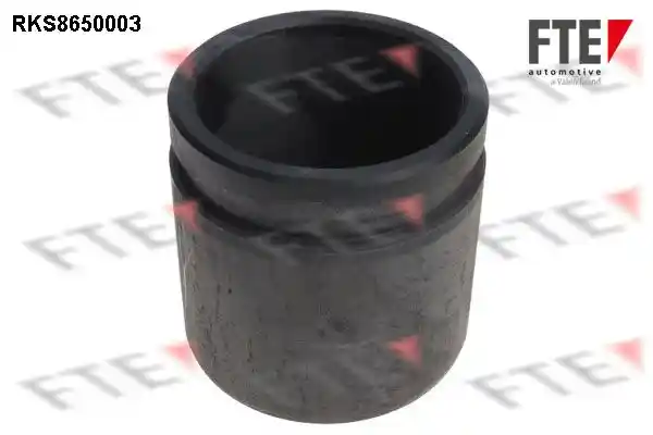 FTE 9313452