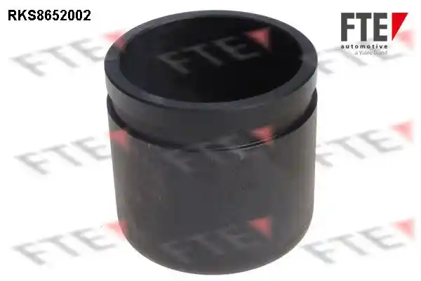 FTE 9313462