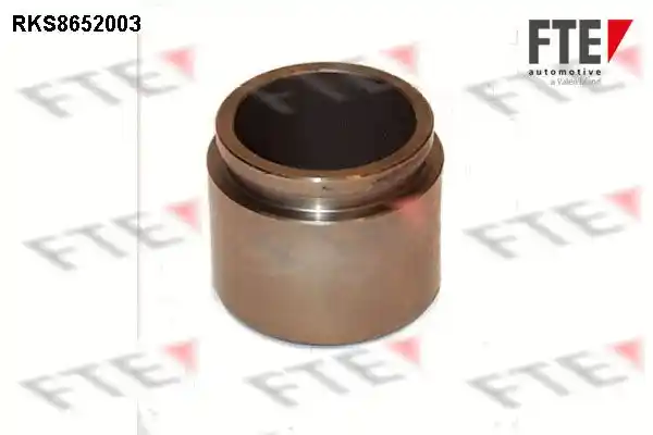 FTE 9313463