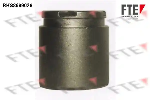 FTE 9313492