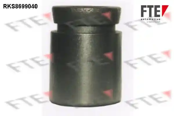 FTE 9313498