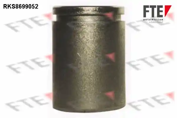 FTE 9313506